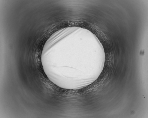 X0000099460770200806061128