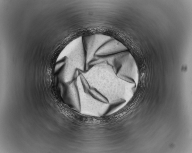 X0000099460772200806061128