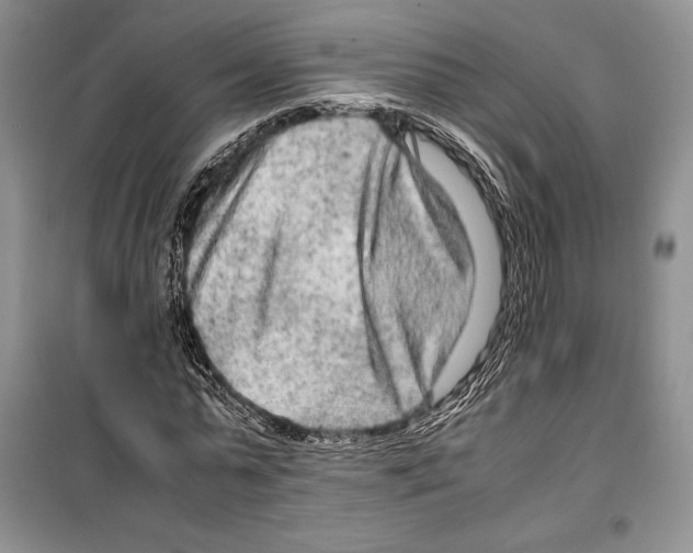 X0000099460775200806061128