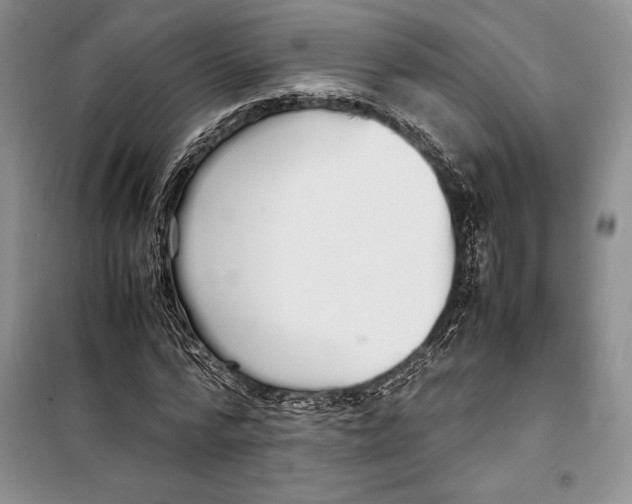 X0000099460776200806061128