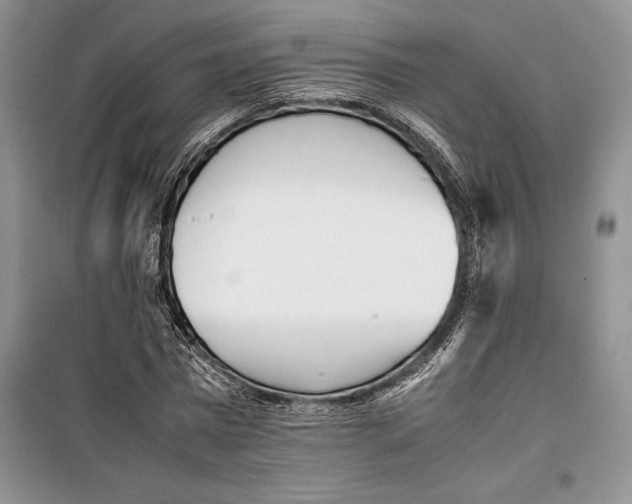 X0000099460777200806061128