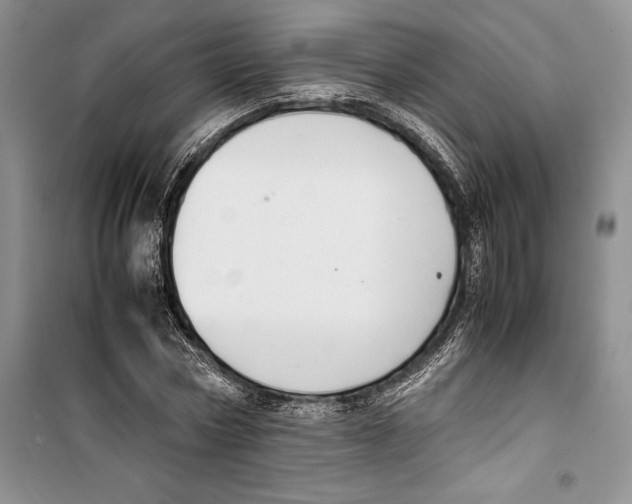 X0000099460778200806061128