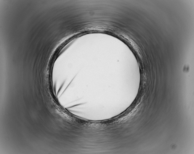 X0000099460779200806061128