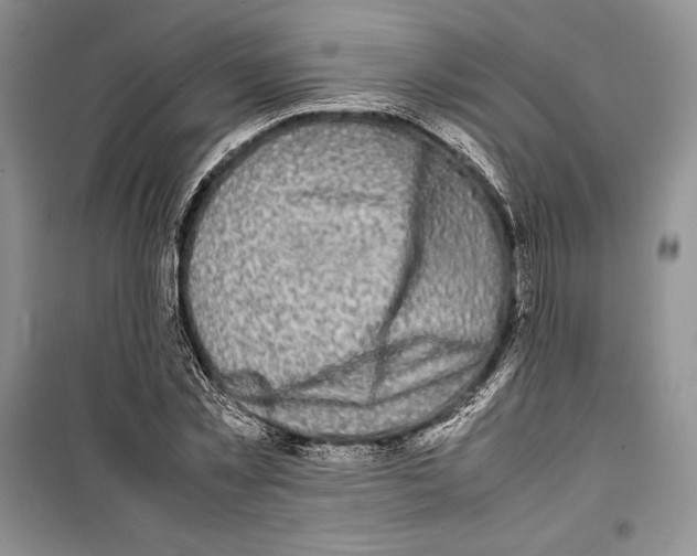 X0000099460781200806061128