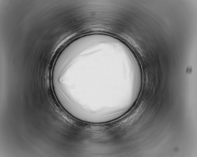 X0000099460782200806061128