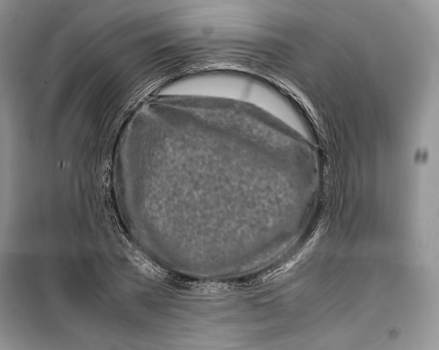 X0000099460785200806061128