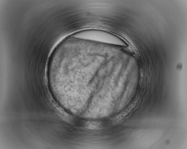 X0000099460788200806061128