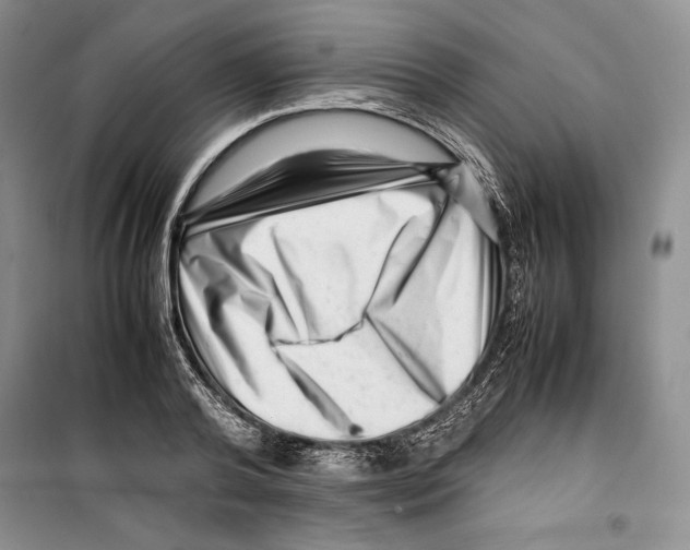 X0000099460792200806061128