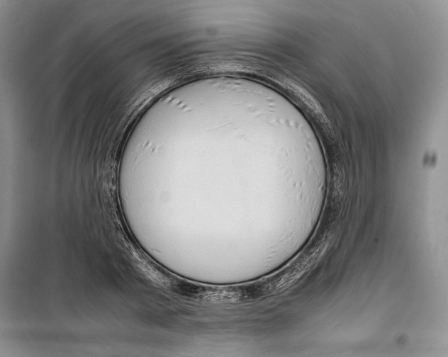 X0000099460793200806061128