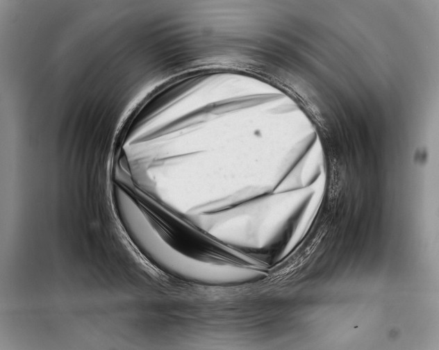 X0000099460796200806061127