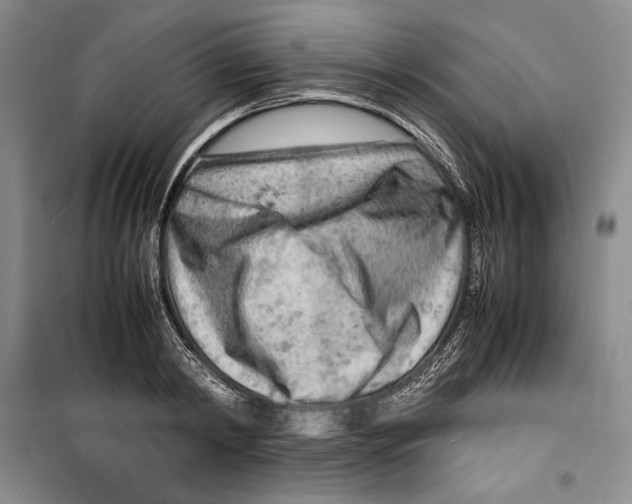 X0000099460798200806061127