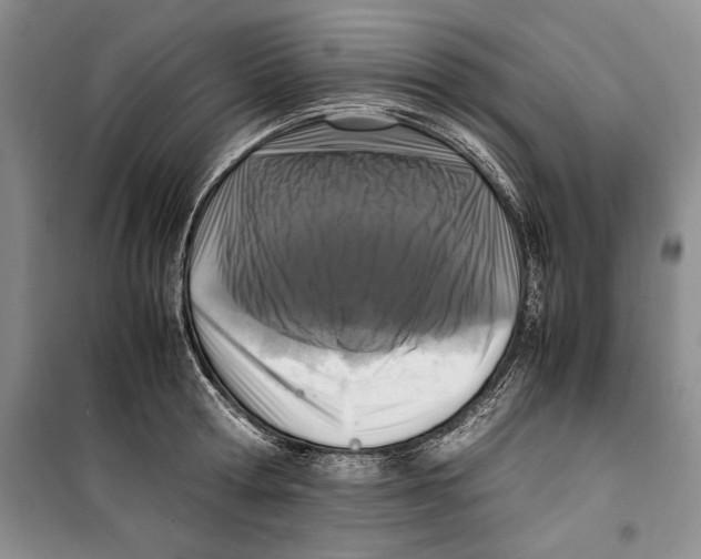 X0000099460802200806061127