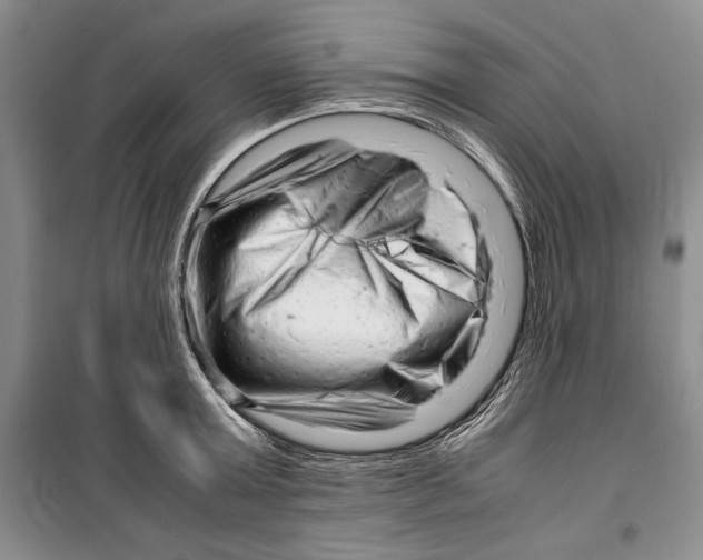 X0000099460803200806061127