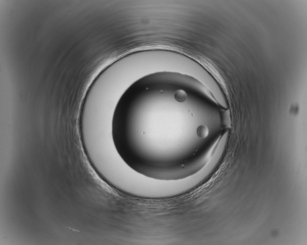 X0000099460805200806061127