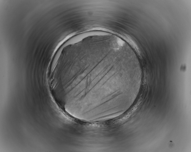 X0000099460806200806061127