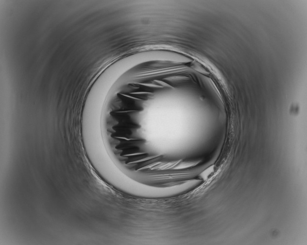 X0000099460809200806061127