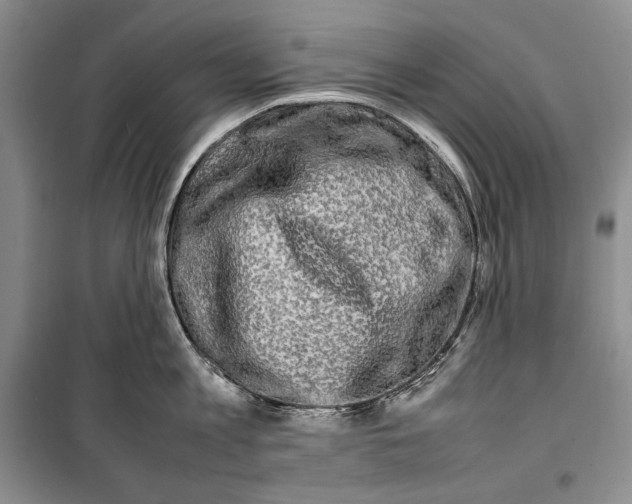 X0000099460813200806061127