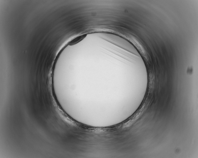 X0000099460814200806061127