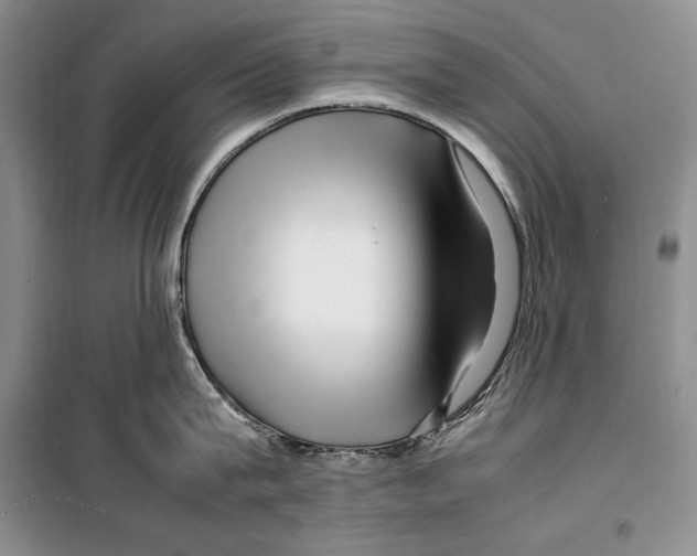 X0000099460815200806061127