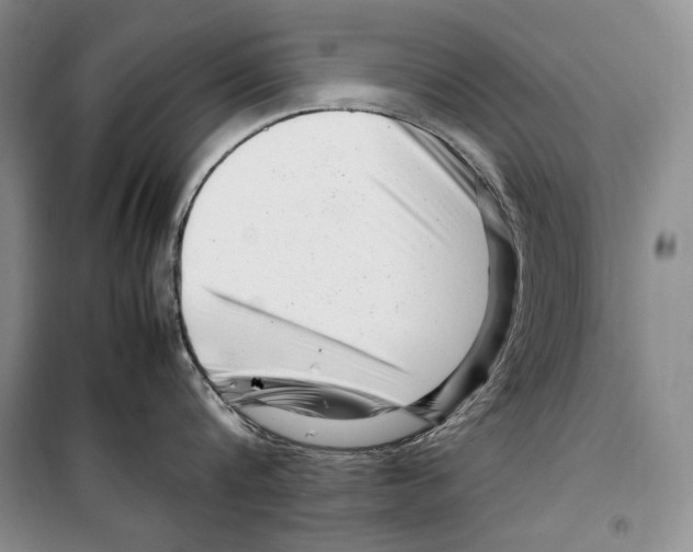 X0000099460816200806061127