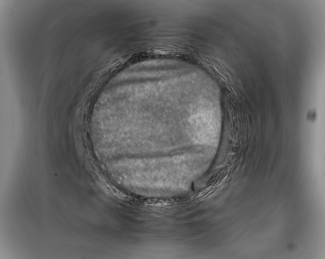 X0000099460817200806061126