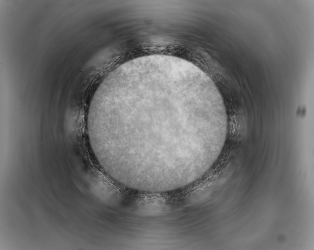 X0000099460820200806061127