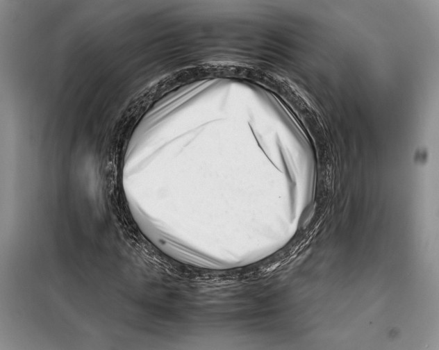 X0000099460821200806061127