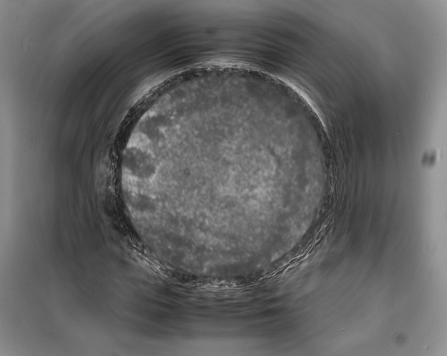 X0000099460823200806061127