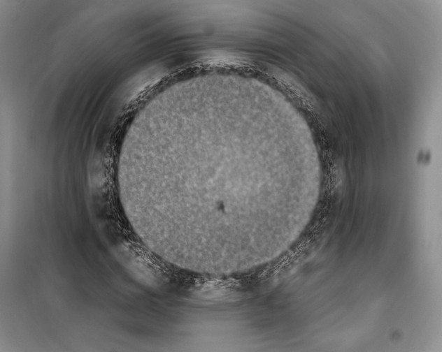 X0000099460824200806061127