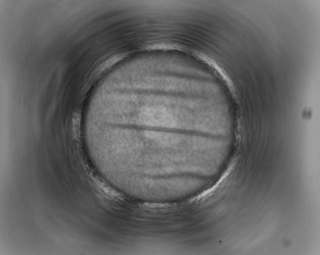 X0000099460825200806061127