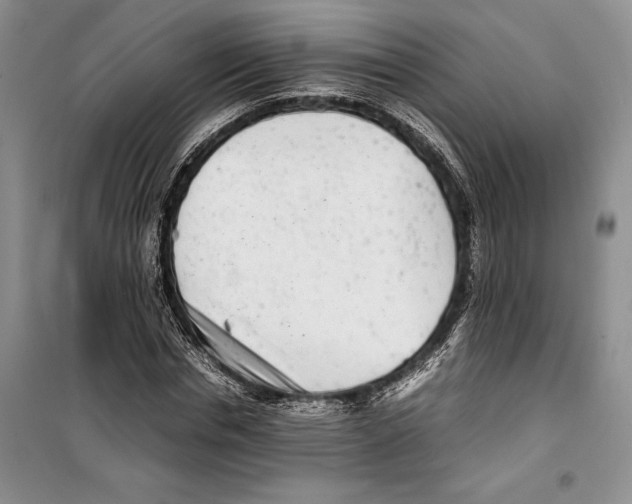 X0000099460826200806061127