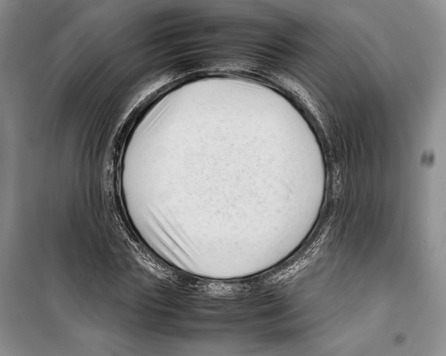 X0000099460827200806061127