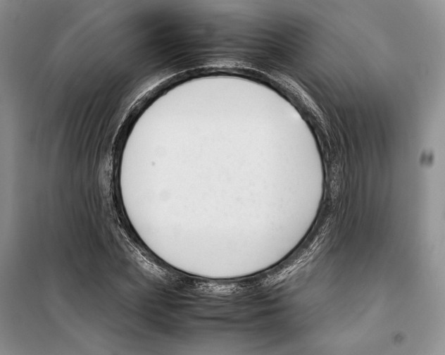 X0000099460831200806061127