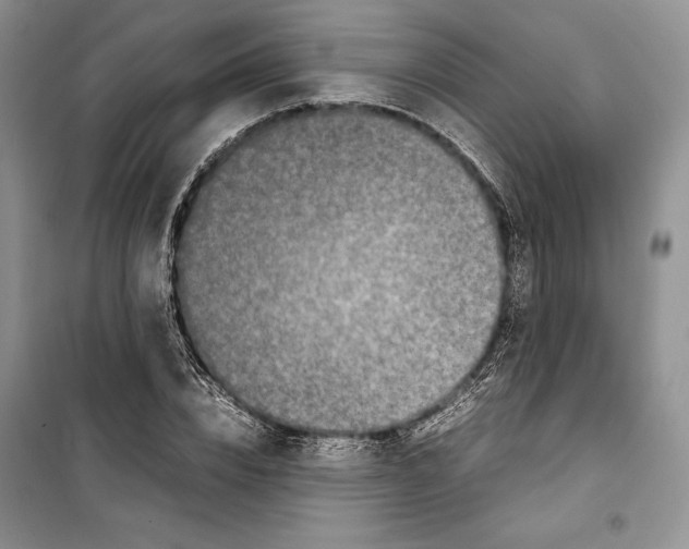 X0000099460832200806061127