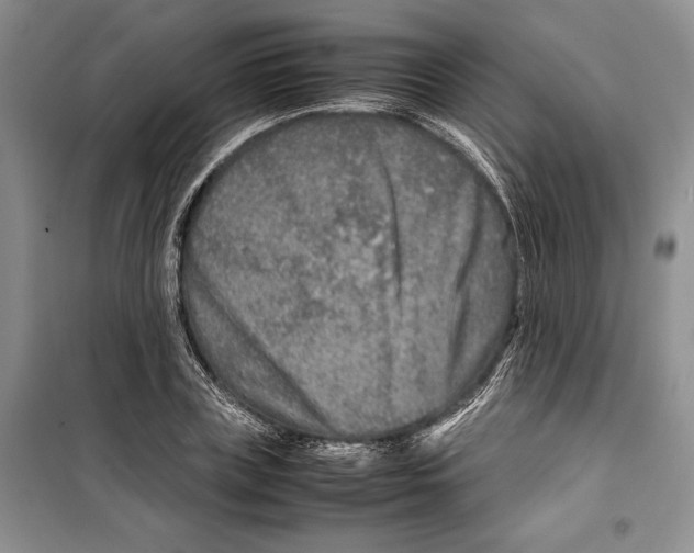 X0000099460835200806061127