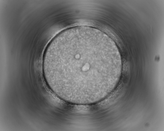 X0000099460836200806061127