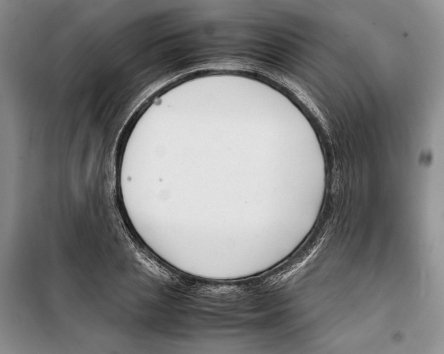 X0000099460837200806061127