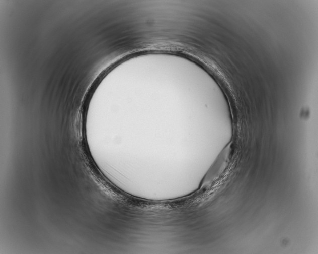 X0000099460838200806061127