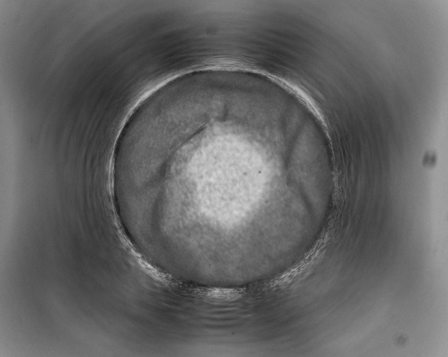 X0000099460839200806061127