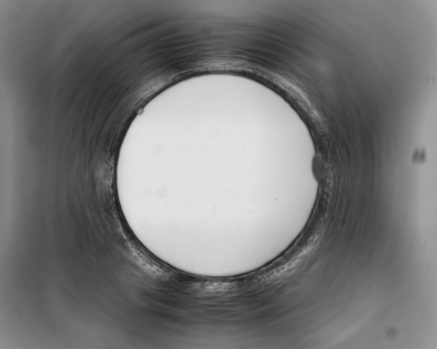 X0000099460841200806061127