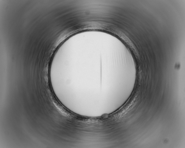 X0000099460842200806061127