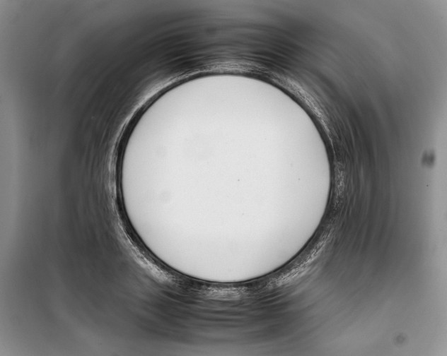 X0000099460843200806061127