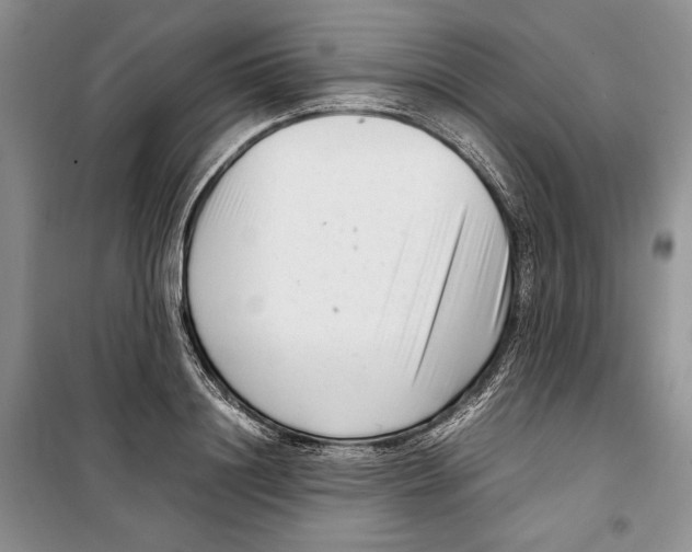 X0000099460844200806061127