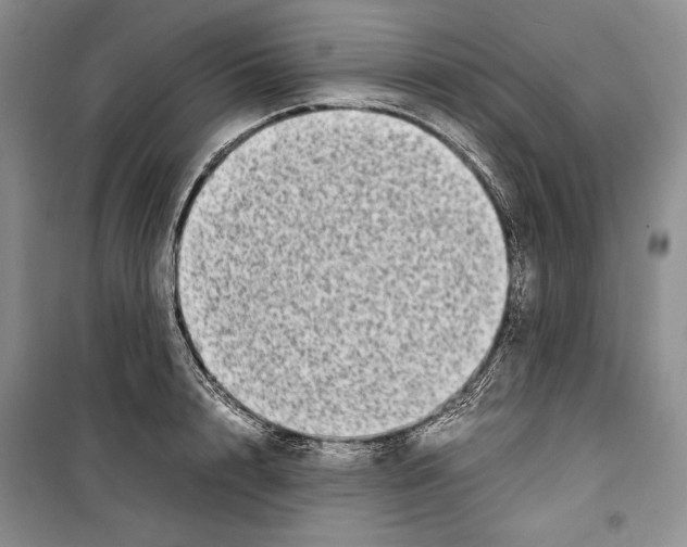 X0000099460848200806061127