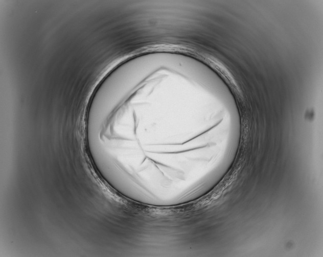 X0000099460852200806061127