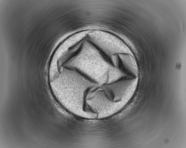 X0000099460854200806061127