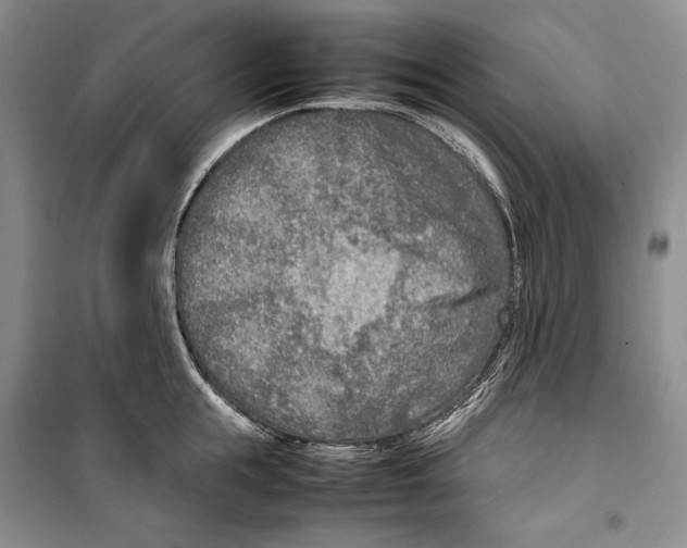 X0000099460855200806061127