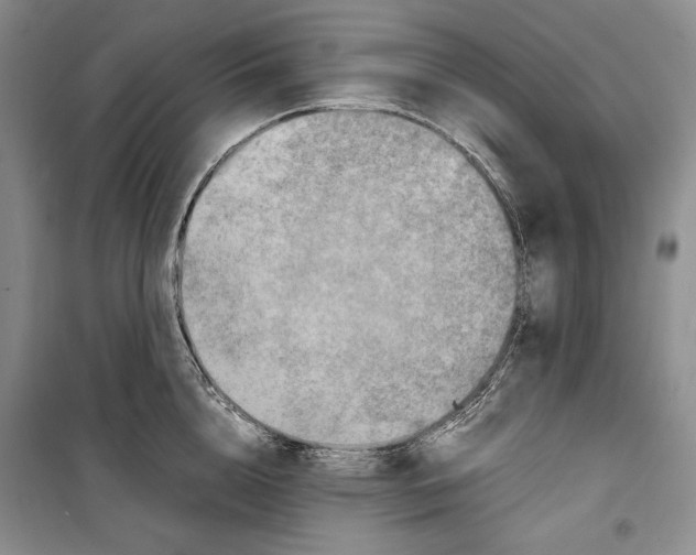 X0000099460856200806061127