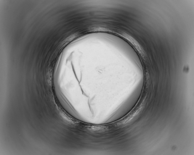 X0000099460857200806061127