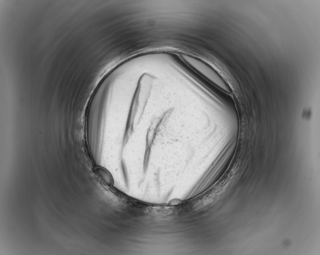 X0000099460858200806061127